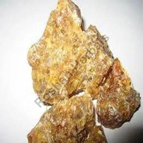 Raw Hing
